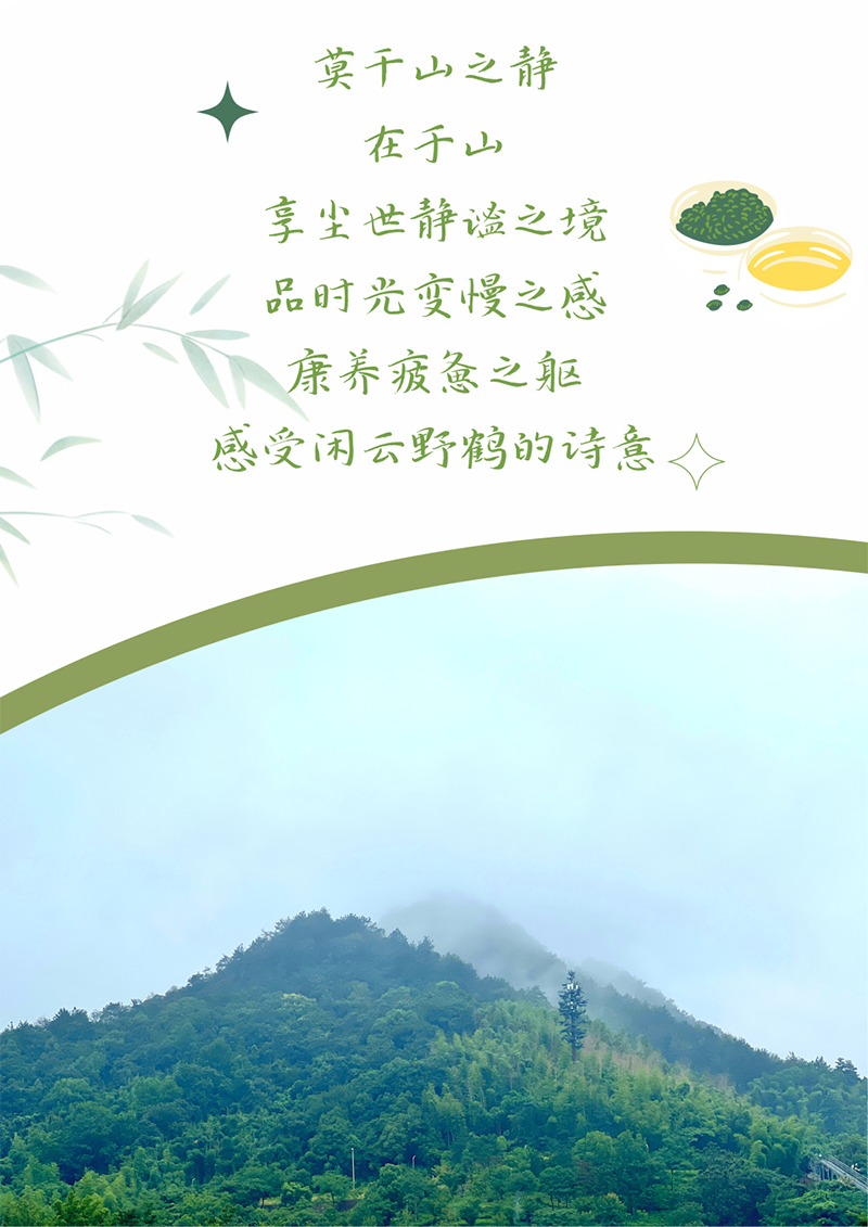 心心念廿 相伴头头竞技体育 | 与德清相约 贺廿载诞辰